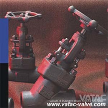 1/2"~2" 800lb Y Type Globe Valve